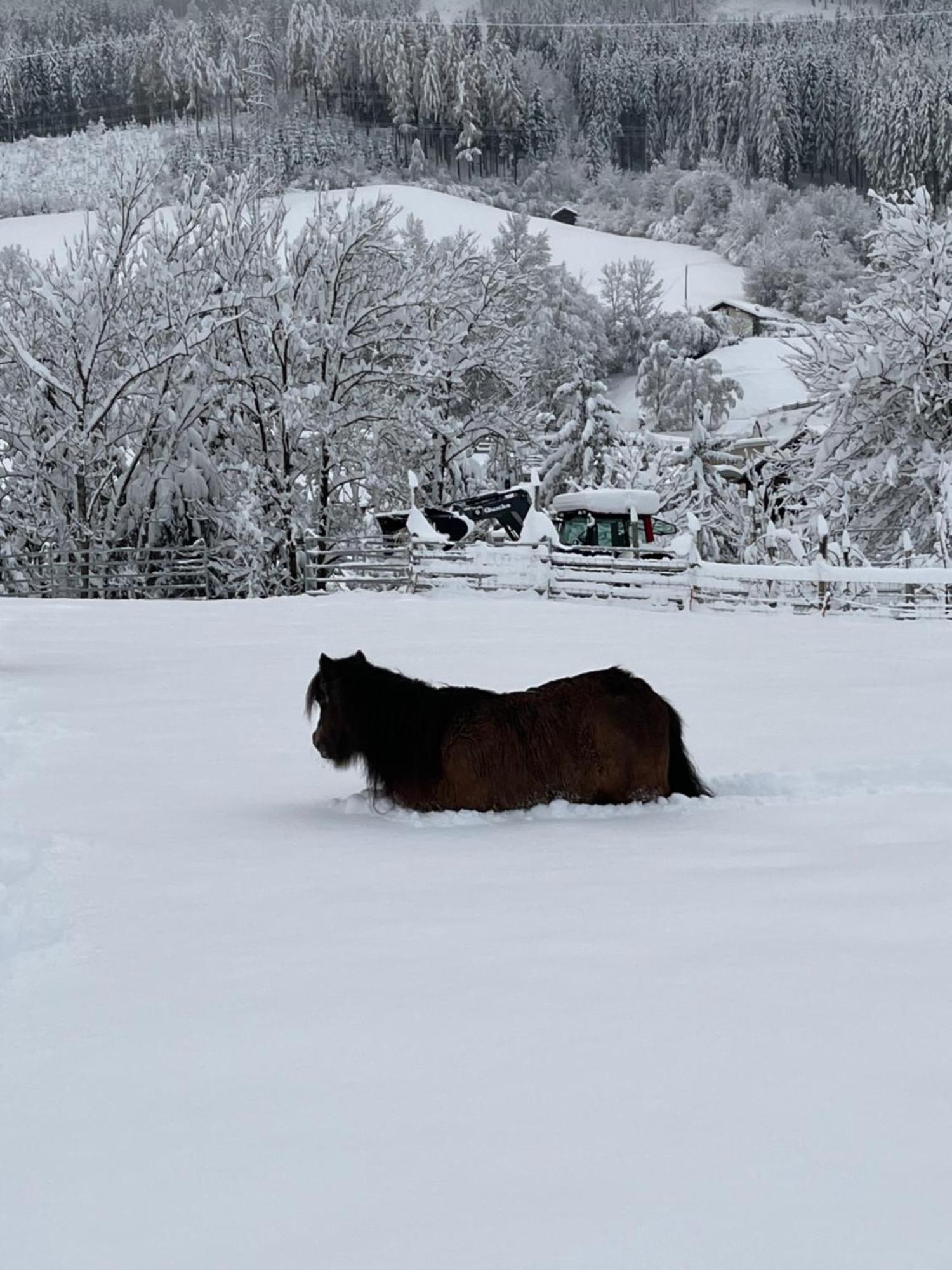 Ferienwohnung Familie Alt Rinn, Innsbruck Exteriör bild